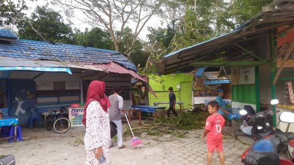 Braakkk… Pohon Besar Timpa Warung di Dekat Taman Kota Sampit