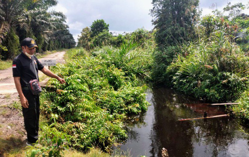 Buaya Sungai Biding Muncul Lagi