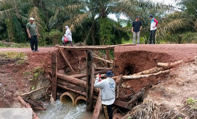 Pemkab Kotim Tangani Perbaikan Darurat Jembatan Karang Sari