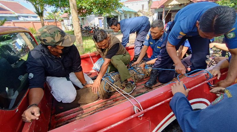 Gangguan Satwa Liar di Kotim Menurun Selama Tahun 2022