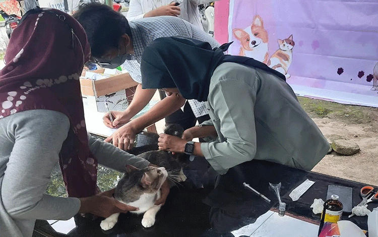 Peringati Hari Rabies, Dinas Pertanian Kotim Gelar Vaksinasi Hewan
