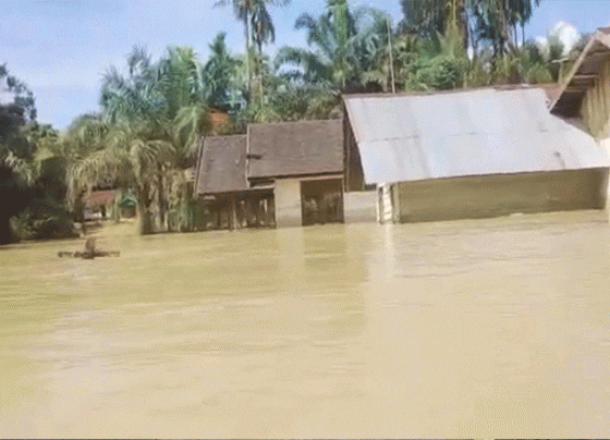 Kondisi Banjir di Desa Tanjung Jorong Kecamatan Tualan Hulu Selasa 18 Oktober 2022. 1