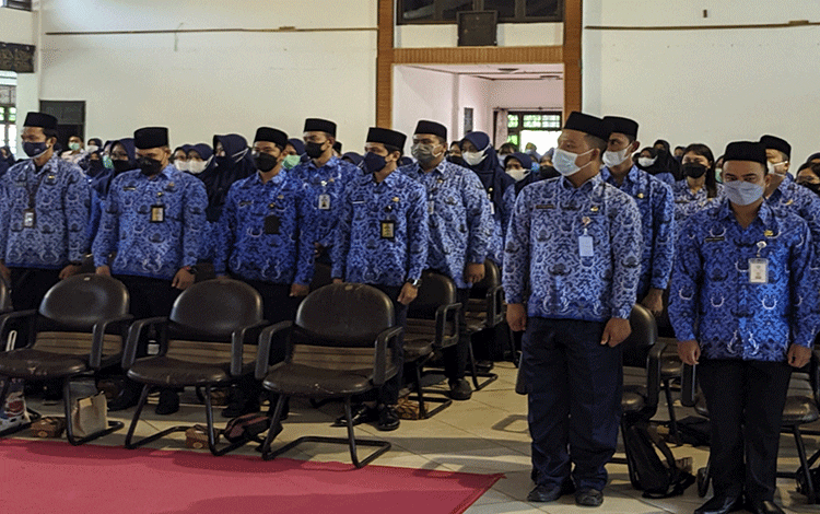 2022 Kotim Dapat Kuota 1.010 PPPK, Cek Formasinya…