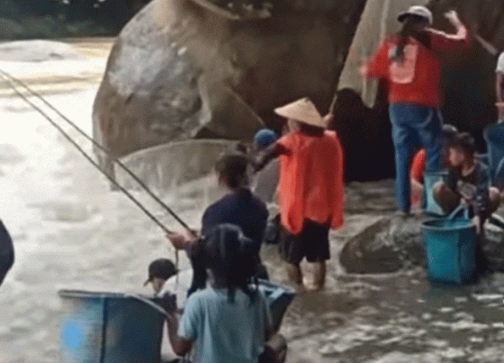 Warga Desa Tumban Manya Kecamatan Antang Kalang menangkap ikan yang tengah bermigrasi.