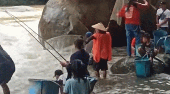 Warga Desa Tumban Manya Kecamatan Antang Kalang menangkap ikan yang tengah bermigrasi.