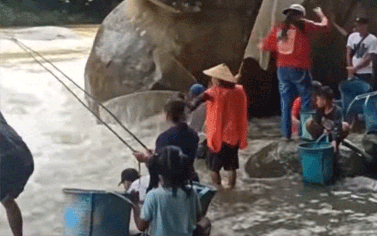 Ikan-Ikan Bermigrasi, Warga Desa Tumbang Manya Manfaatkan Momen Ini