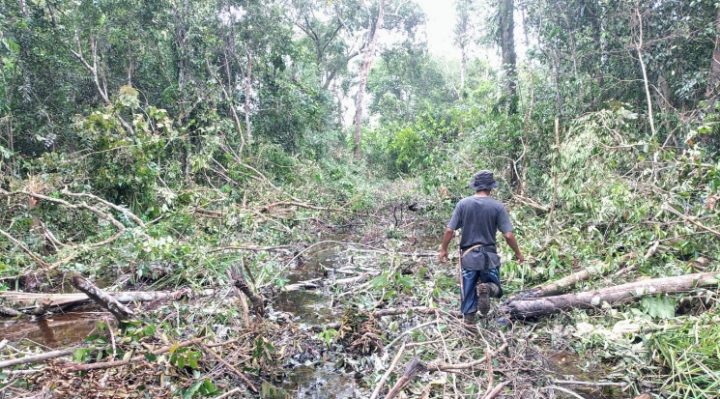 Warga Kelurahan Tanah Mas menunjukkan petugas lokasi kemunculan orangutan
