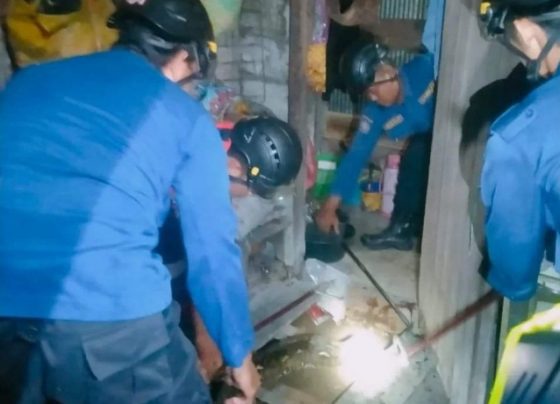 Petugas Disdamkarmat Kotim berupaya menangkap ular yang berada di lantai dapur warga Kelurahan Baamang Tengah