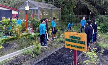 Tanaman Holtikultura SMP Hamaparan 2 Satdik SMP yang meraih predikat sekolah adiwiyata nasional 1