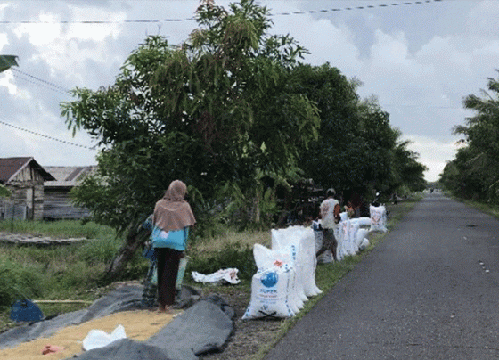 Warga Desa Lampuyang menjemur padi.