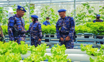 Kapolda Kalteng Irjen Pol Nanang Avianto saat meninjau kebun hidroponik di Ditpolairud Polda Kalteng Senin 5 Desember 2022.