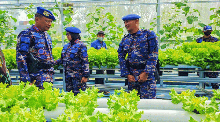 Kapolda Kalteng Irjen Pol Nanang Avianto saat meninjau kebun hidroponik di Ditpolairud Polda Kalteng Senin 5 Desember 2022.