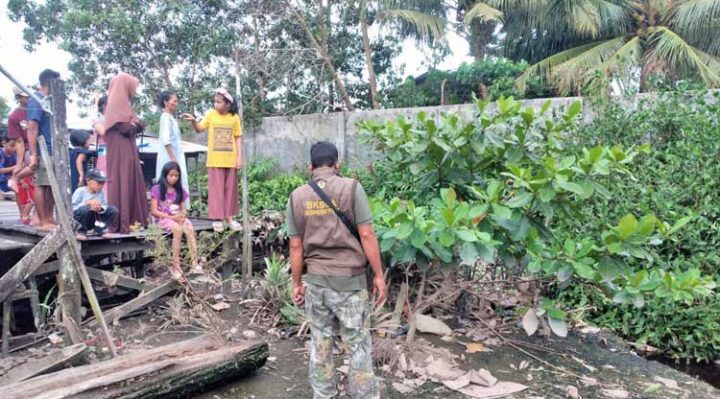 Lokasi kemunculan buaya muara sepanjang 1 meter dekat permukiman penduduk di Gang Melati Jalan H Imran Kecamatan Mentawa Baru Ketapang Sampit Kotawarigin Timur.