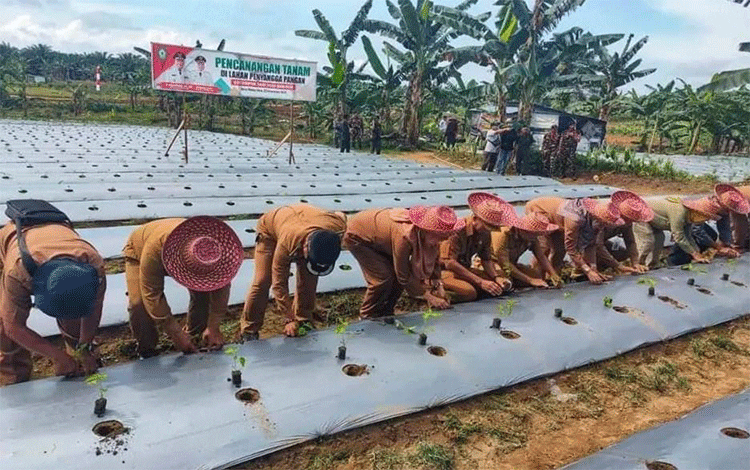 Antisipasi Resesi, Pemkab Kotim Perkuat Ketahanan Pangan