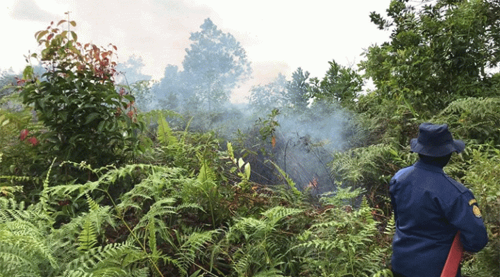 Petugas dari Dinas Pemadam Kebakaran dan Penyelamatan Kotim memadamkan kebakaran lahan di Jalan MT Haryono pada Rabu 28 Desember 2022.