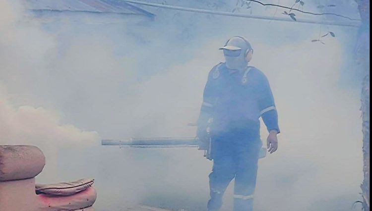 Awas! DBD Merebak di Kotim