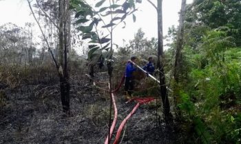 Kebakaran lahan yang melanda di Jalan Jenderal sudirman Kilometer 30 Sampit Minggu 1 Januari 2023.