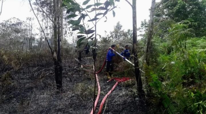 Kebakaran lahan yang melanda di Jalan Jenderal sudirman Kilometer 30 Sampit Minggu 1 Januari 2023.