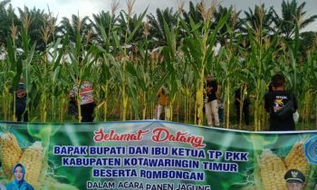 Legislator yang menjabat Wakil Ketua I DPRD Kotim Rudianur Dukung Imbauan Pemkab Optimalisasi Lahan Kosong untuk Kemandirian Pangan