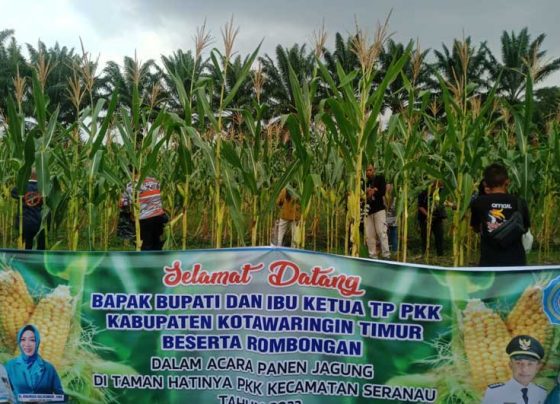 Legislator yang menjabat Wakil Ketua I DPRD Kotim Rudianur Dukung Imbauan Pemkab Optimalisasi Lahan Kosong untuk Kemandirian Pangan