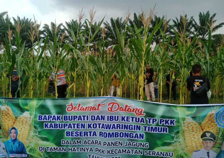 Legislator Dukung Imbauan Pemkab Optimalisasi Lahan Kosong untuk Kemandirian Pangan