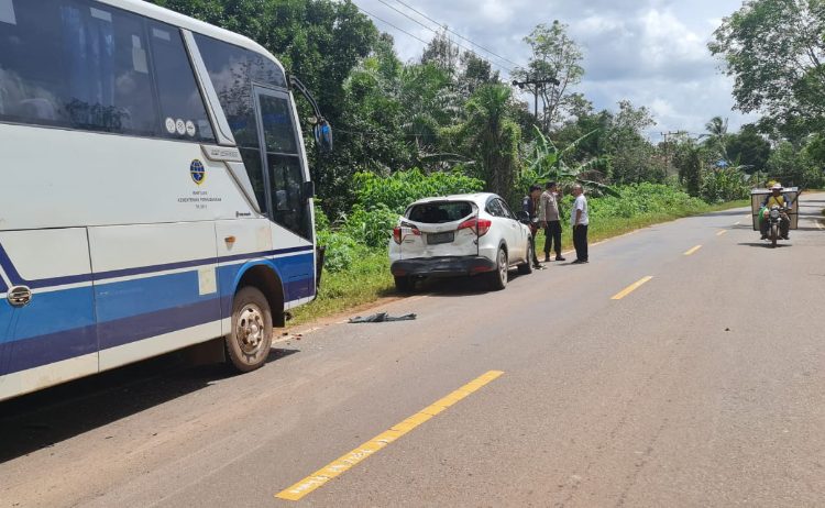 Sebuah Bus Hantam Pantat Mobil Anggota DPRD Katingan di Cempaga 