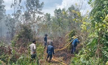 Petugas sedang berjibaku memadamkan kebakaran lahan di Jalan Pramuka Sampit Selasa 3 Januari 2023.