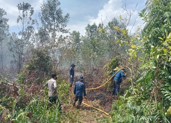 Petugas sedang berjibaku memadamkan kebakaran lahan di Jalan Pramuka Sampit Selasa 3 Januari 2023.