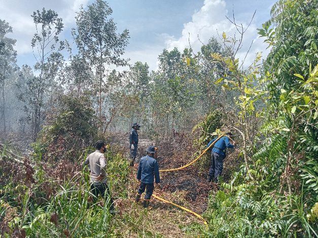 Dua Hektare Lahan di Sampit Terbakar, Diduga Disengaja