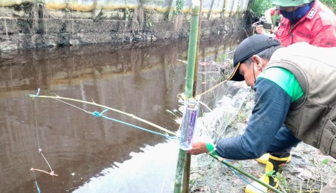 Petugas yang sedang memasang jerat buaya di Sungai Mentawa Kecamatan Mentawa Baru Ketapang Sampit Kotawaringin Timur Selasa 3 Januari 2022.