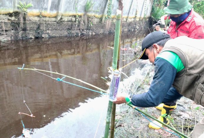 Pasang Jerat Buaya di Sungai Mentawa, BKSDA Minta Warga Tak Mendekat