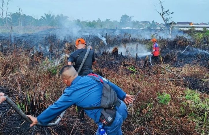 Tiga Hari Terakhir Kotim Dilanda Karhutla