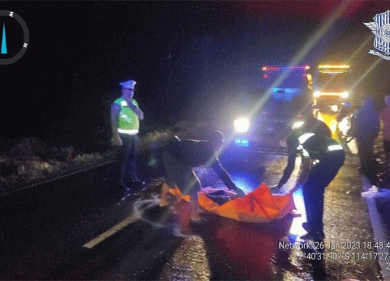 Polisi mengevakuasi jenazah korban kecelakaan lalu lintas di Gohong Pulang Pisau.