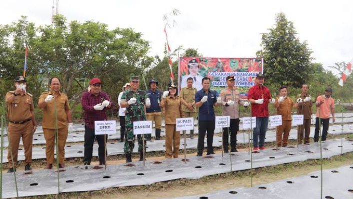 Gerakan menanam cabai yang dilakukan Pemerintah Kabupaten Pulang Pisau belum lama ini.
