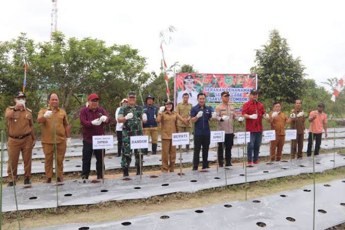 Pemkab Pulang Pisau Tanam Cabai Seluas 20 Hektare