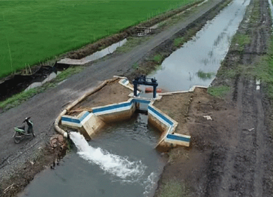 ILUSTRASI Irigasi lahan pertanian di Kalteng