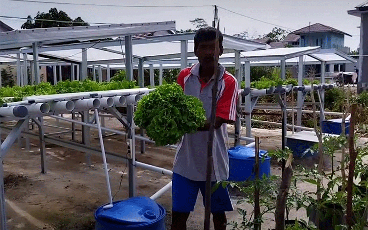 Petani Seruyan Diminta Tanam Varietas Beragam