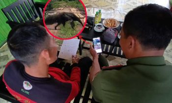 Petugas BKSDA dan Manggala Agni menelusuri video kemunculan giant anteater yang dikabarkan di Seruyan dan ternyata tidak benar.