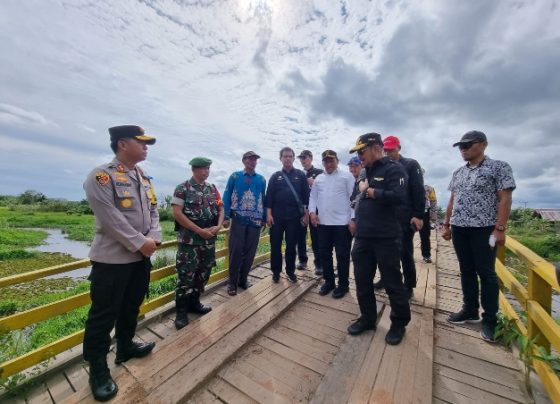 Rombongan Mentan RI meninjau kawasan food estate diwilayah Desa Gadabung Pulang Pisau.