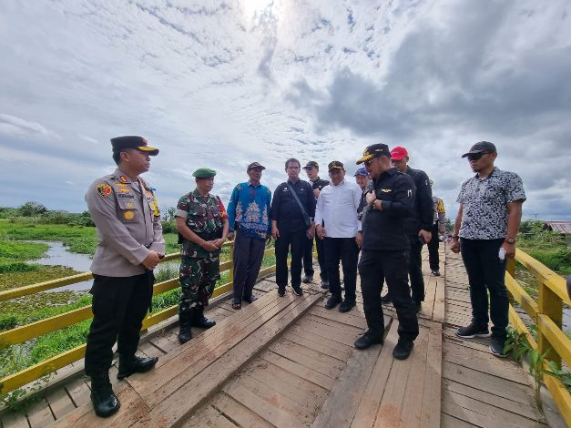 Menteri Pertanian Tinjau Perkembangan Food Estate di Pulang Pisau