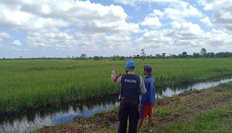 DKPP Seruyan Harus Tingkatkan Pembinaan Terhadap Petani