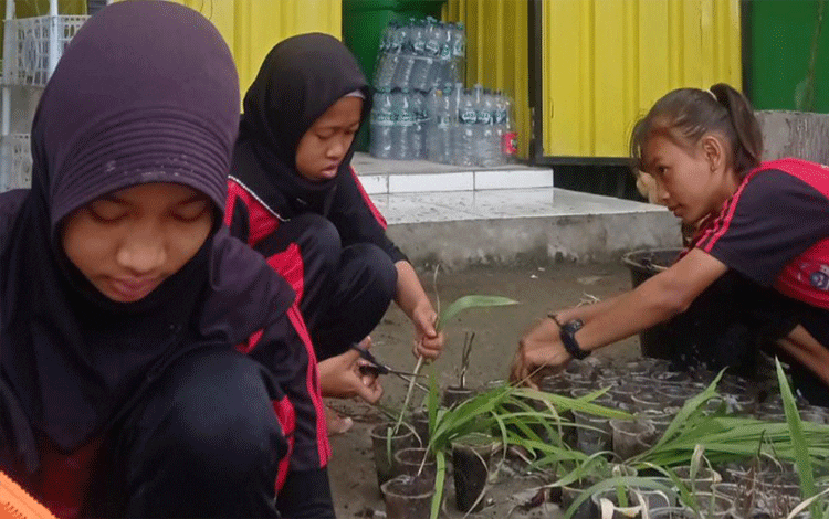 SDN 4 Ketapang Gunakan Barang Bekas untuk Berkebun Tanaman Obat