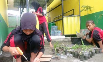 Siswa SDN 4 Ketapang Sampit menanam bawang dayak untuk membuat kebun herbal di lingkungan sekolah Kamis 9 Februari 2023