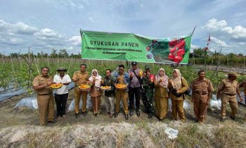 Syukuran panen tomat Kelompok Tani Margo Rukun Permai Kelurahan Pasir Putih Kecamatan Mentawa Baru Ketapang Sampit Selasa 7 Februari 2023