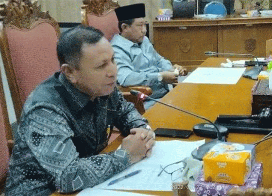 Wakil Ketua I DPRD Kabupaten Kotawaringin Timur Rudianur