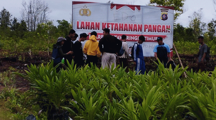 uasana aktivitas program magang budidaya holtikultura siswa dari 3 SMK di Kotim di lahan penyangga pangan seberang Politeknik Sampit Kamis 2 Februari 2023.