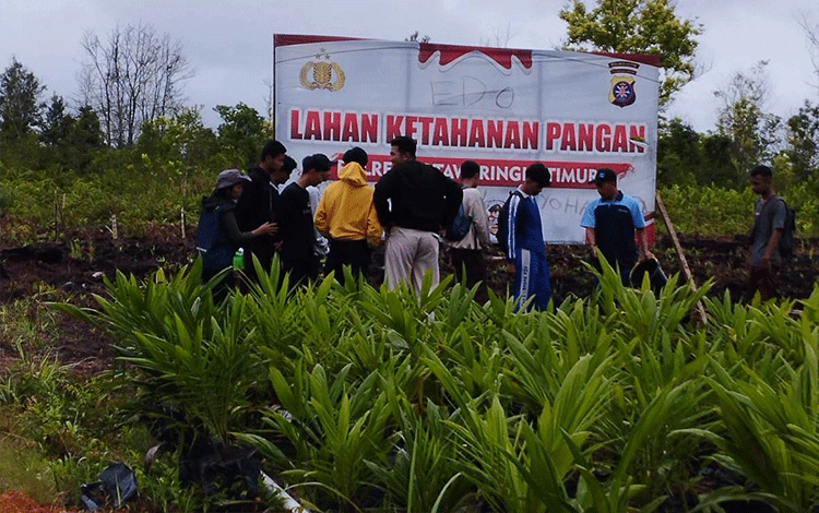 Prospek Menjanjikan, Pelajar agar Tertarik Holtikultura