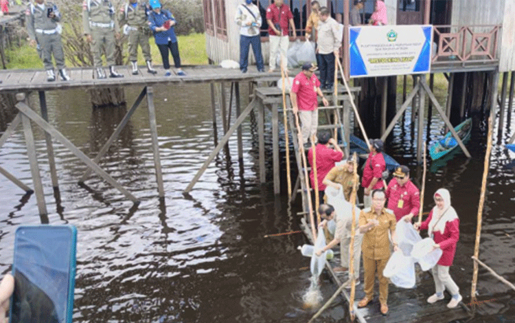 Teras Narang dan Bupati Katingan Tabur Benih Ikan Papuyu di Danau Bulat Kamipang