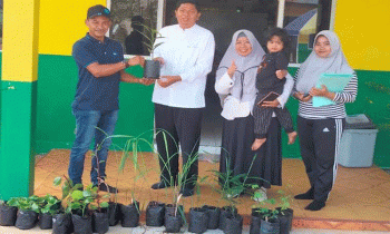 SDN 4 Ketapang menerima bantuan bibit dari Distan Kotim untuk membuat kebun herbal Bawang Dayak Rabu 8 Maret 2023.