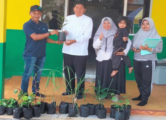 SDN 4 Ketapang menerima bantuan bibit dari Distan Kotim untuk membuat kebun herbal Bawang Dayak Rabu 8 Maret 2023.